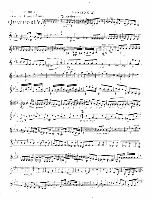 Violin 2