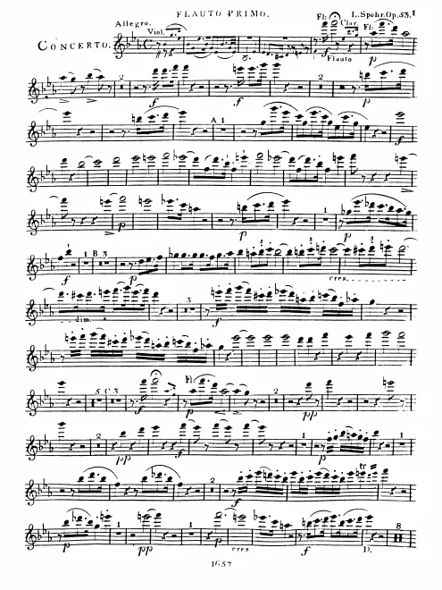 Flute 1