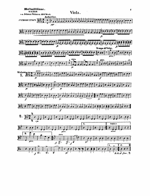 Violas