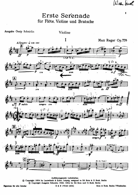 Violin