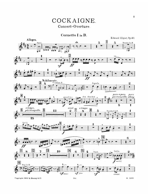 Cornet 1 (B)