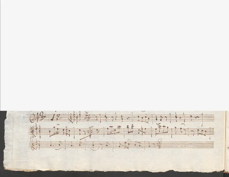 Viola