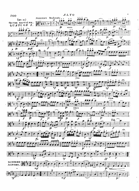 Viola