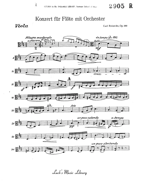 Violas