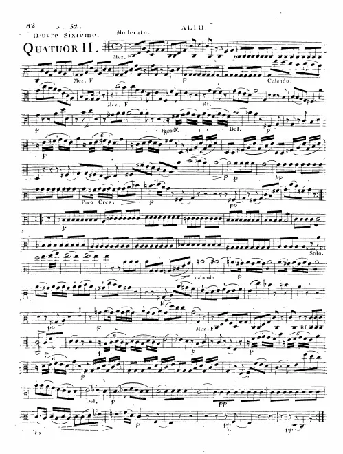 Viola
