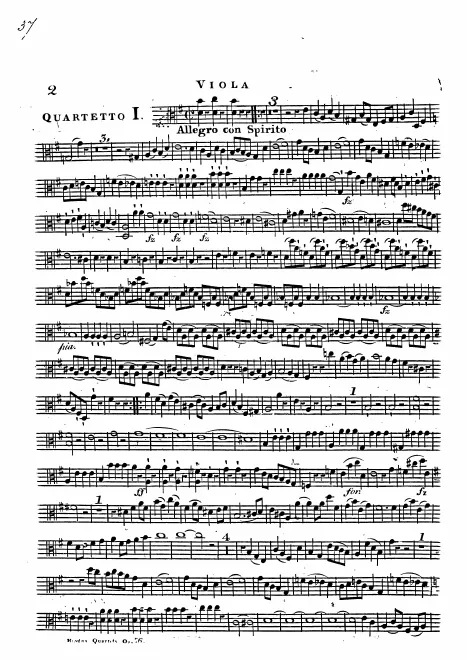Viola