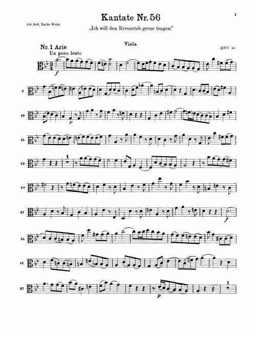 Violas