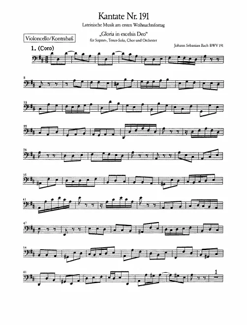 Cellos/Basses