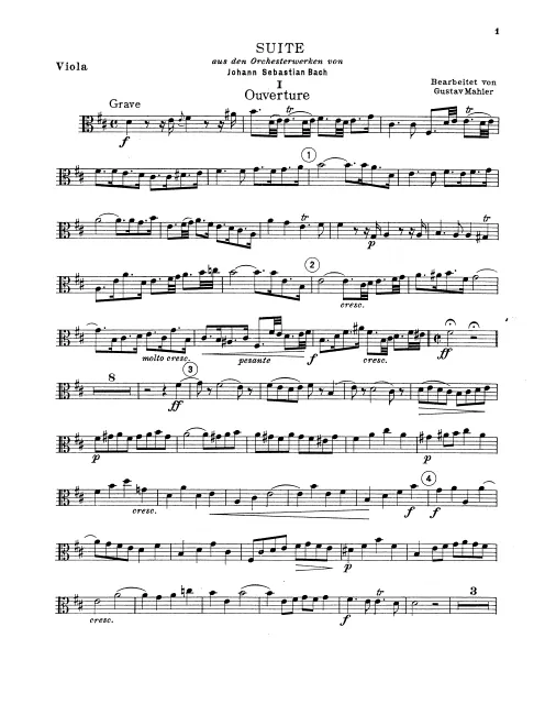 Violas