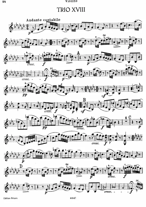 Violin