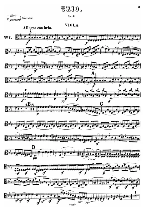 Viola