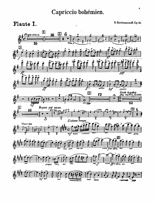 Flute 1