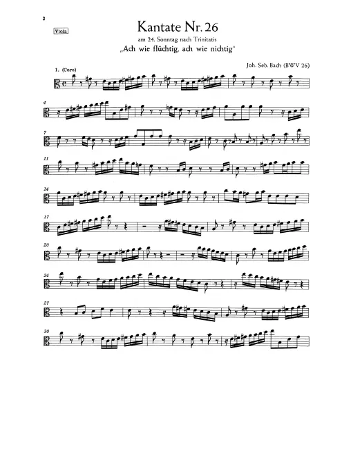Violas