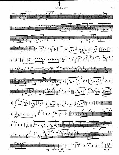 Viola 1