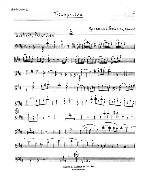 Bassoon 1
