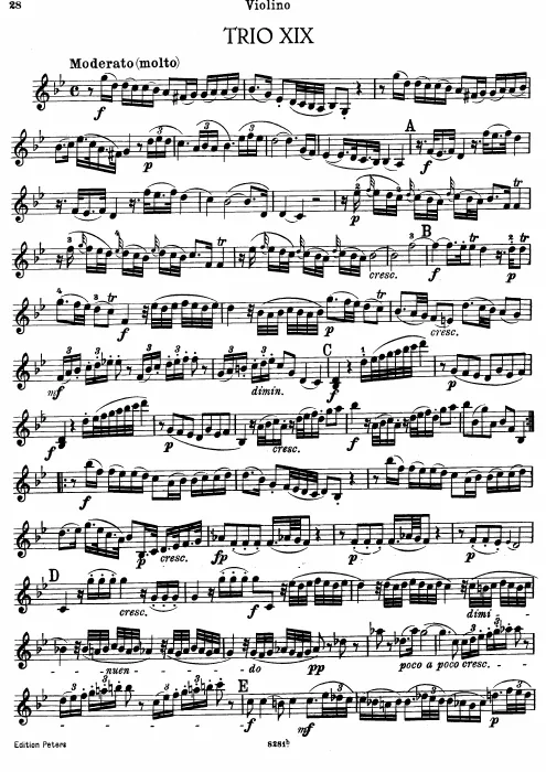 Violin