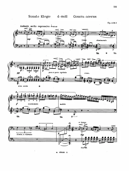 2. Sonata-Elegy in