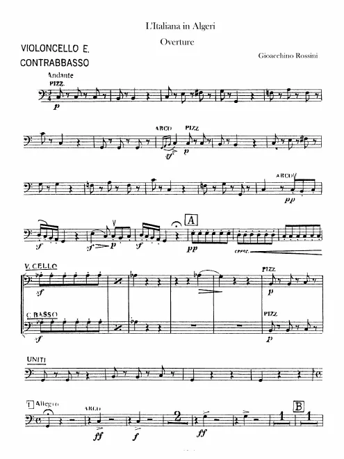 Cellos/Basses