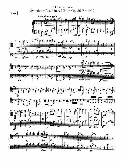 Violas