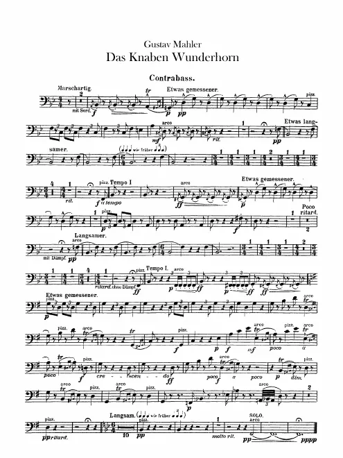 Basses