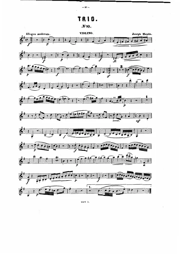 Violin