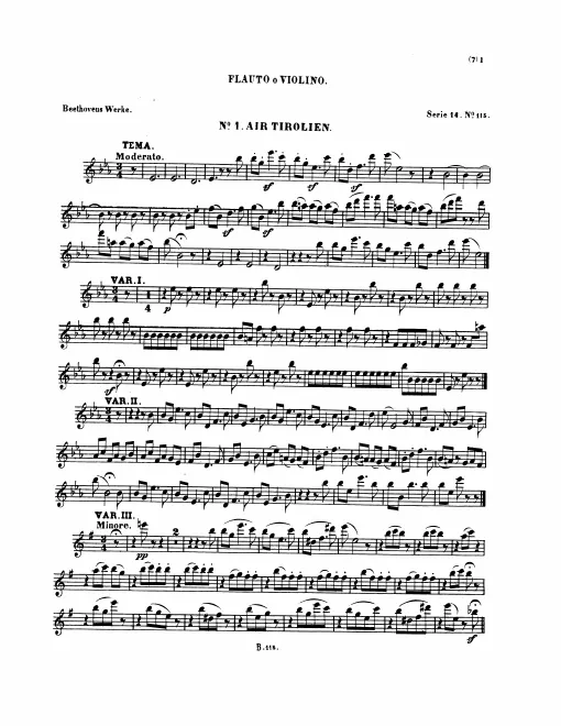 Flute