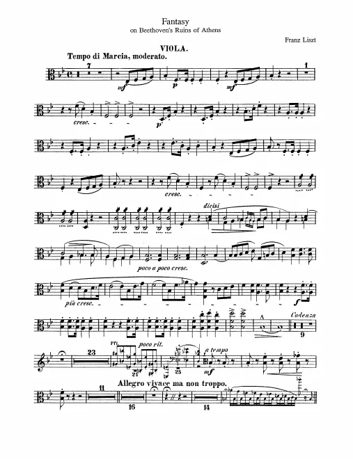 Violas