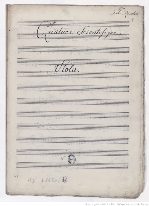 Viola