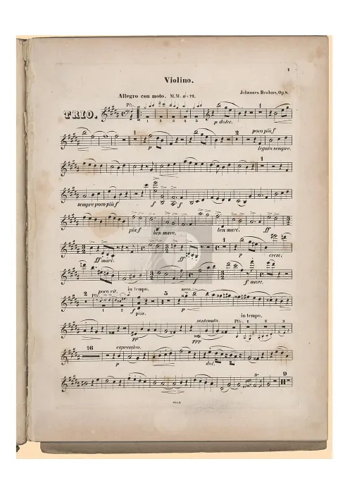 Violin (color)