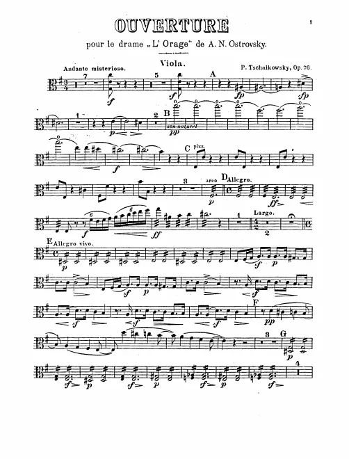 Violas