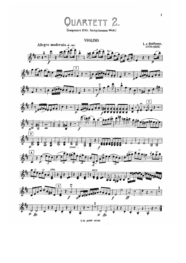 Violin