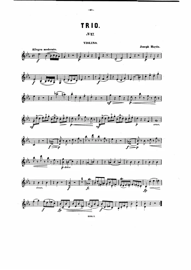 Violin