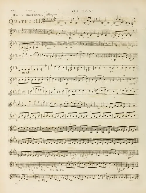 Violin 2