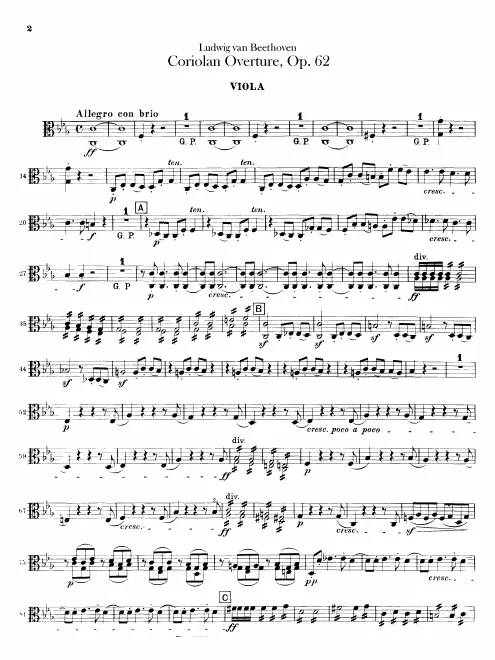 Violas