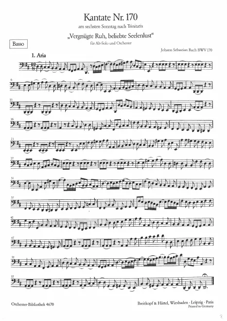 Cellos/Basses