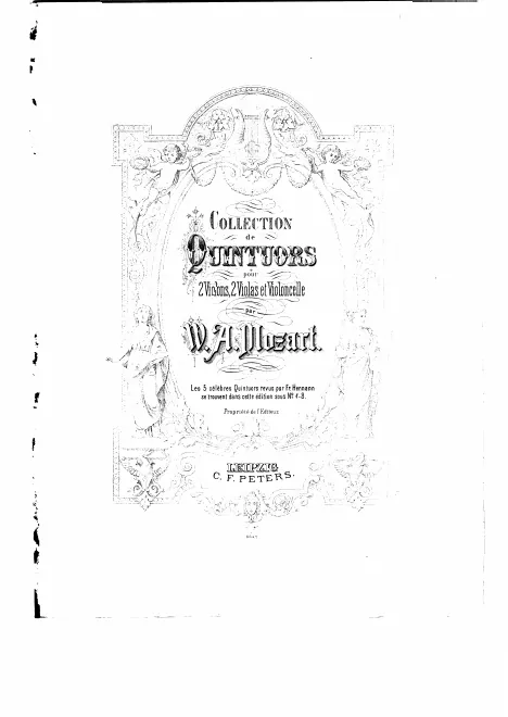 Viola 2