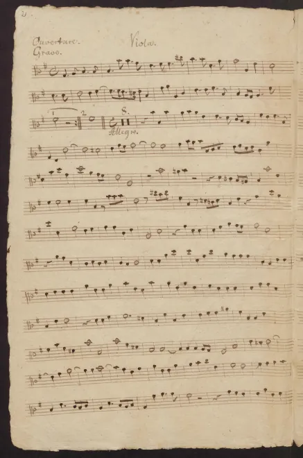Violas