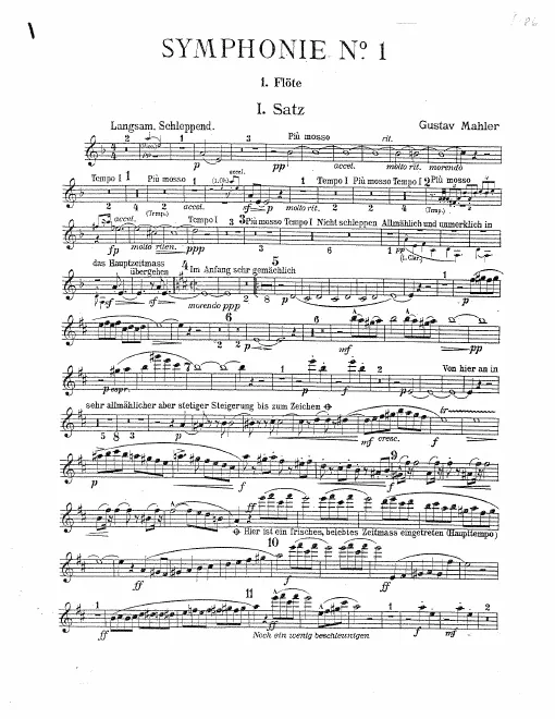 Flute 1