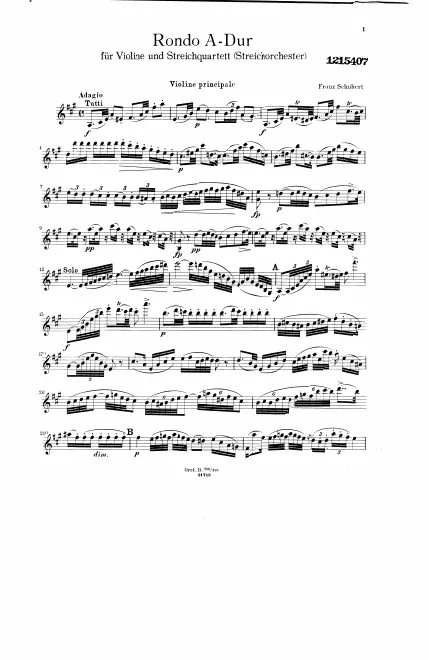Violin Solo