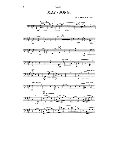 Bassoon