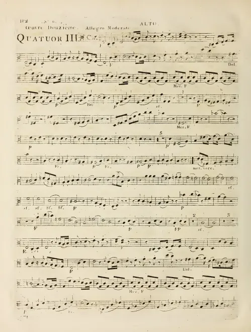 Viola