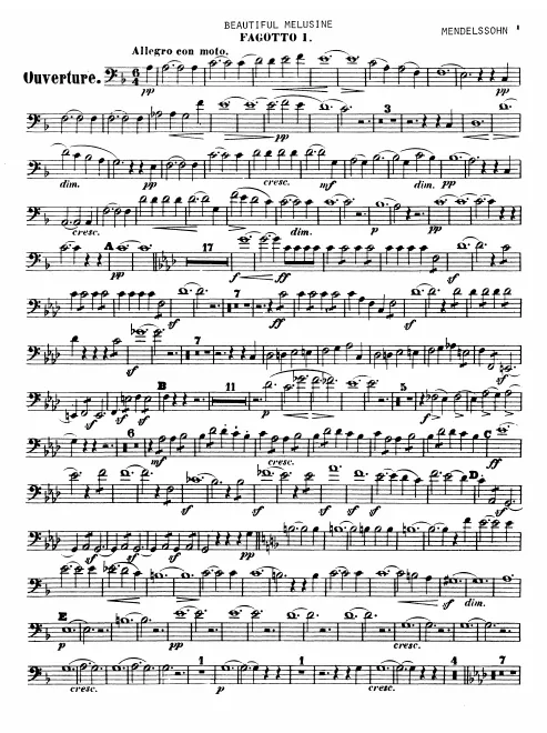 Bassoon 1