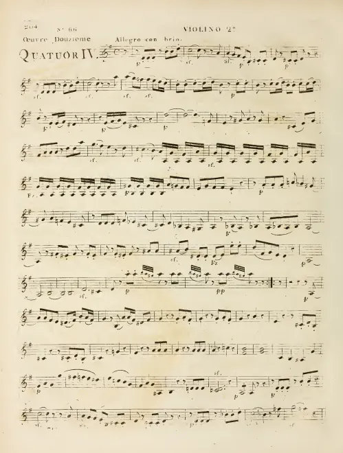 Violin 2