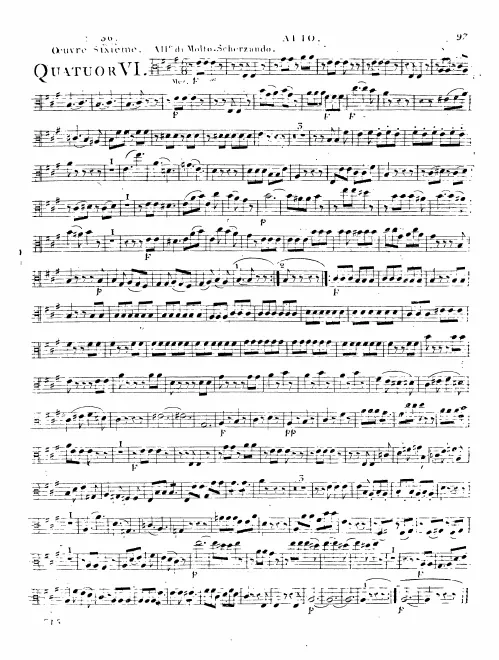 Viola