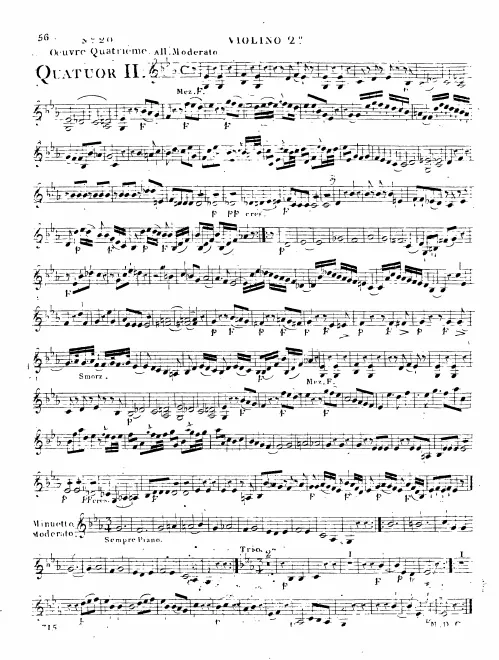 Violin 2