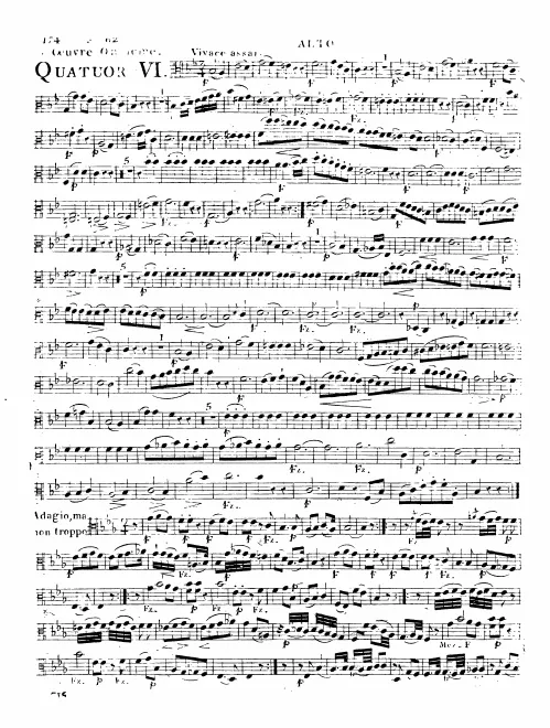Viola