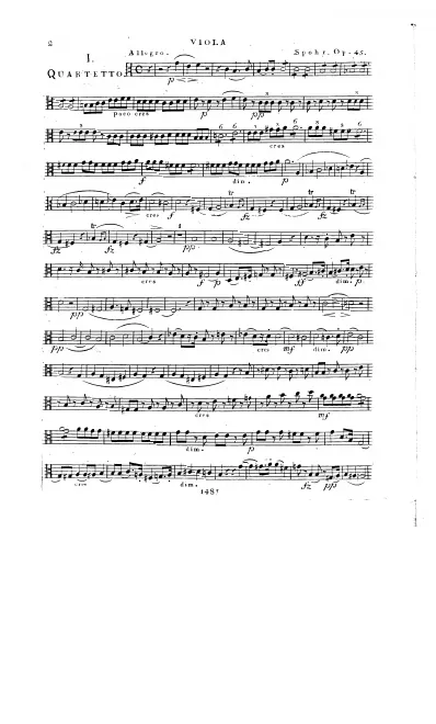Viola