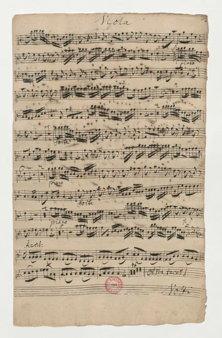 Violas