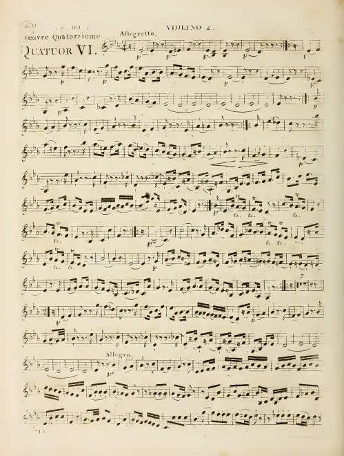 Violin 2