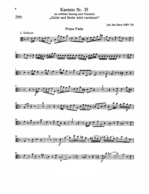 Violas